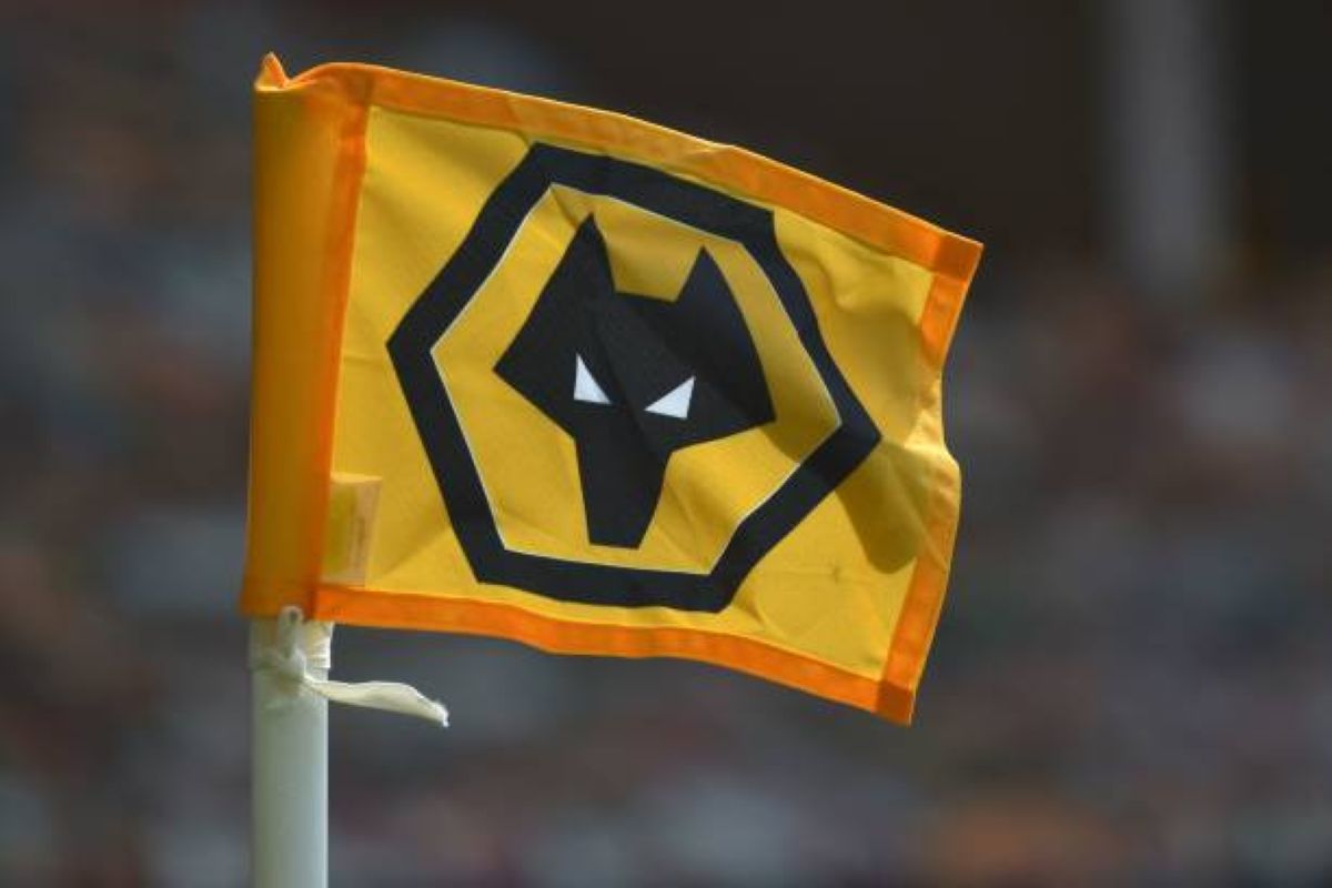 wolves flag