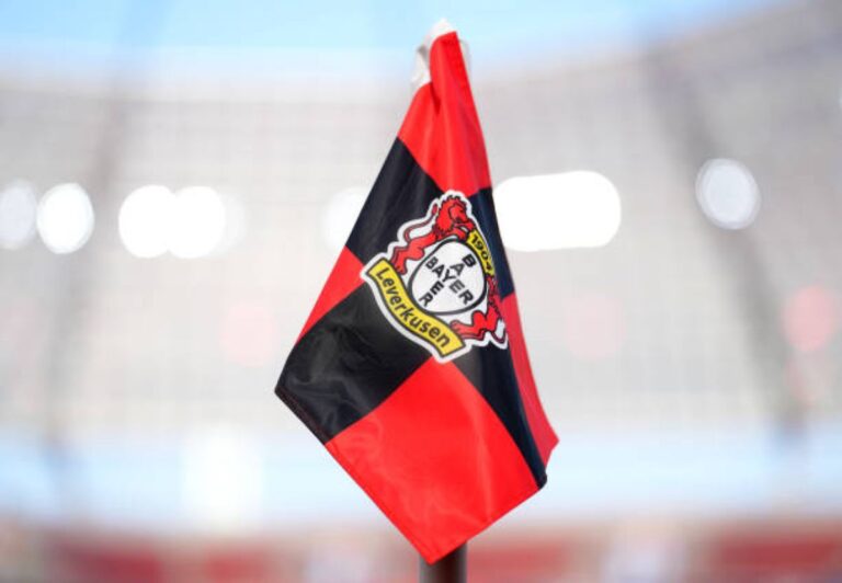 Bayer Leverkusen flag